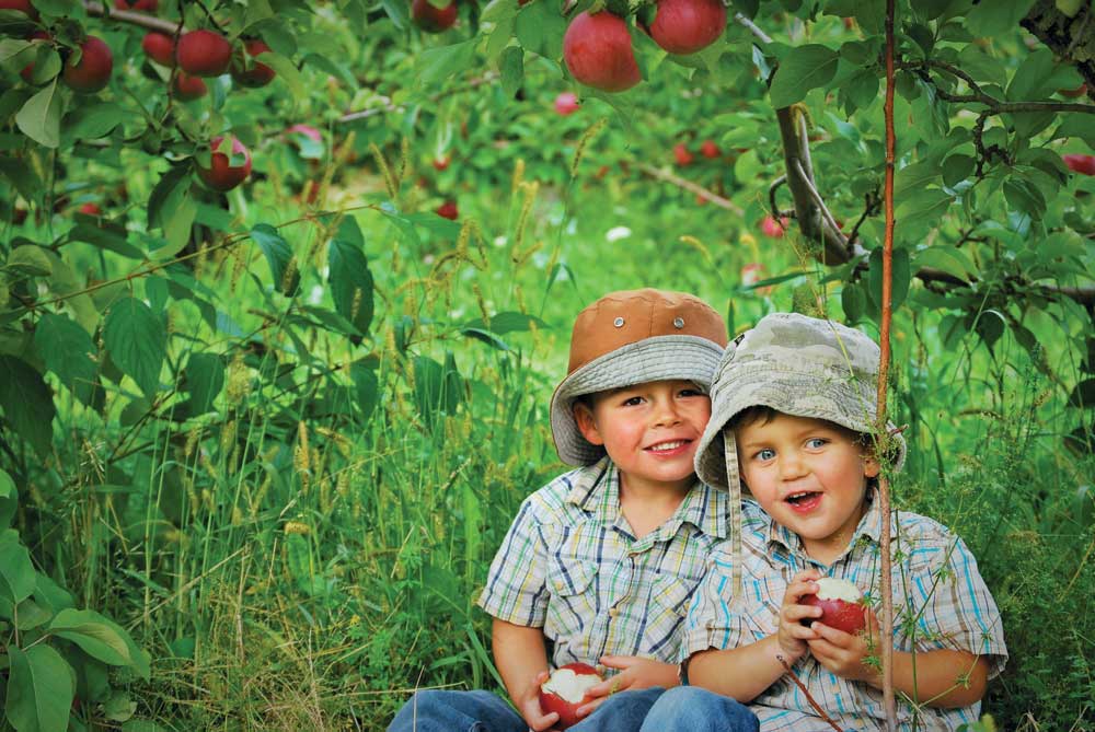 children eating pick your own apples