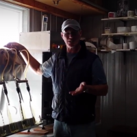 Bottling Honey Crisp