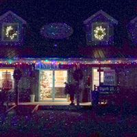 Christmas Lights on the Winery