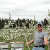 Blossom time with Fred